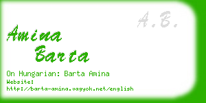 amina barta business card